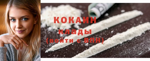СК Волоколамск