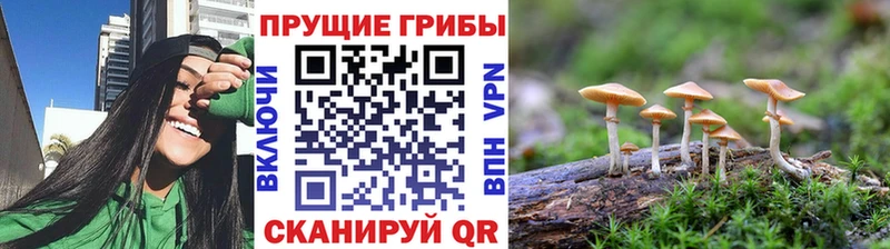 Купить закладки  Закаменск  Галлюциногенные грибы мухоморы 
